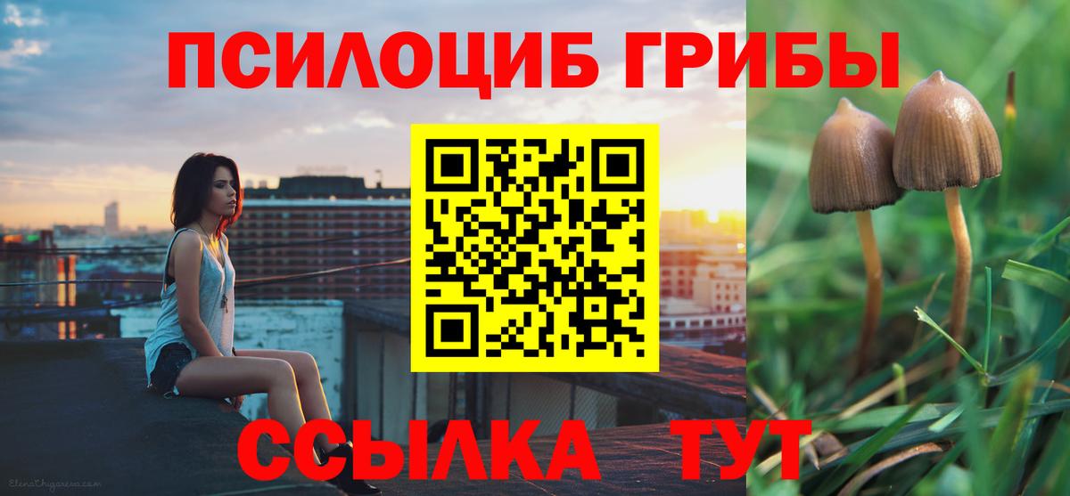 Пугачёв  Галлюциногенные грибы Magic Shrooms  Вход с VPN 